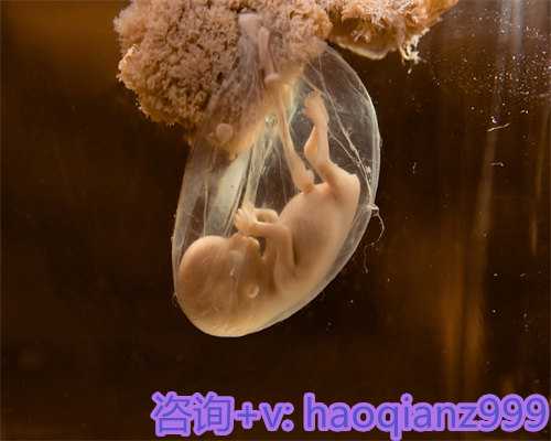 广州金牌供卵试管，(广州供卵试管成功率)广东茂名供卵试管婴儿医院排名