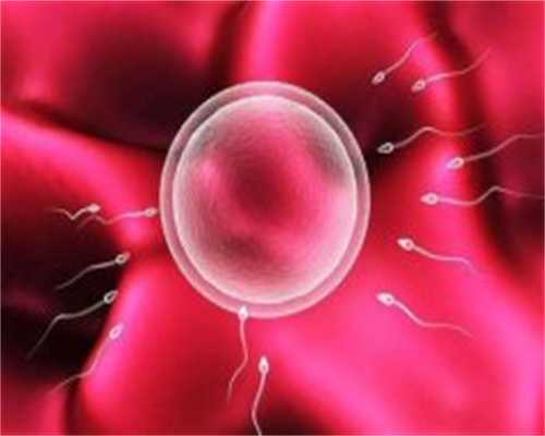 长春捐卵实例，长春市2022年最新供卵试管助孕医院排名-内附长春供卵现状分析