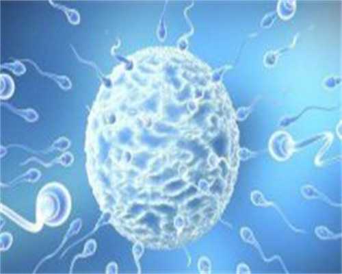 福建代孕与成功率-福建代孕试管供卵