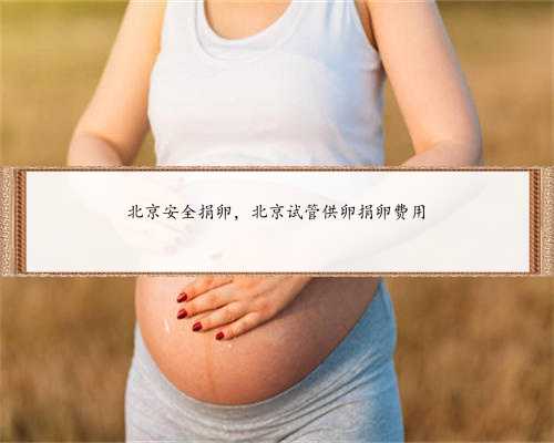 北京安全捐卵，北京试管供卵捐卵费用