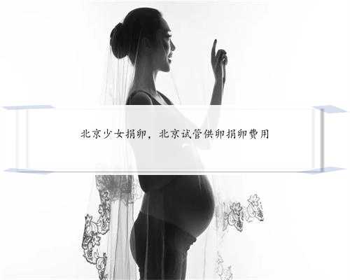北京少女捐卵，北京试管供卵捐卵费用