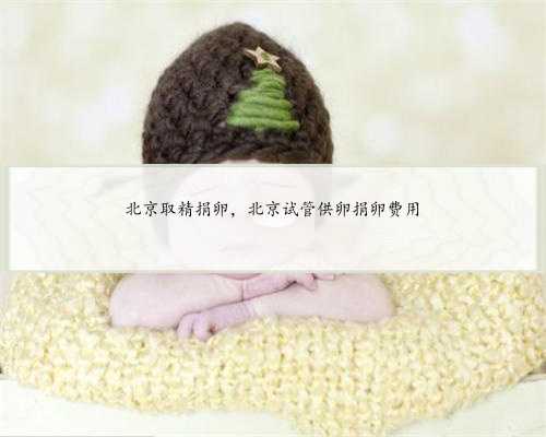 北京取精捐卵，北京试管供卵捐卵费用