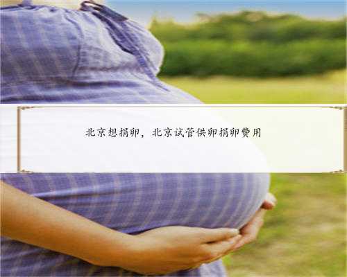 北京想捐卵，北京试管供卵捐卵费用