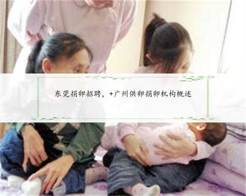 东莞捐卵招聘， 广州供卵捐卵机构概述
