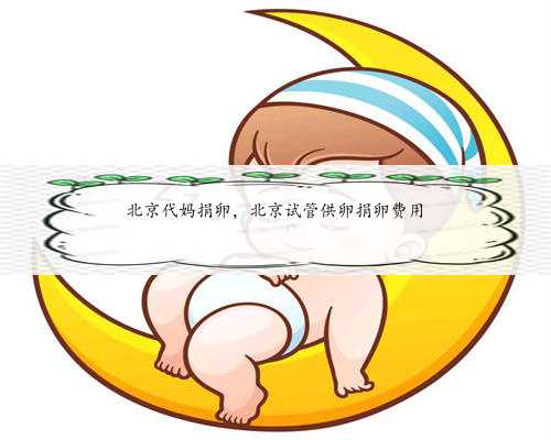 北京代妈捐卵，北京试管供卵捐卵费用