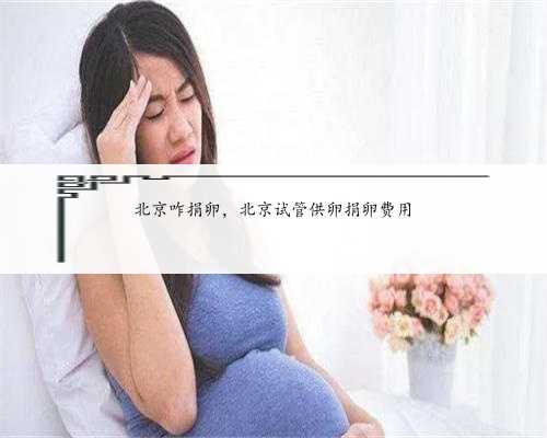 北京咋捐卵，北京试管供卵捐卵费用