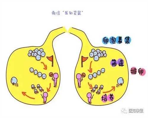 广州正规捐卵:美院学生帮同学联系“捐卵”