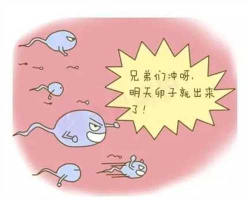 武汉百城捐卵:卵子排出后，存活时间有限，抓住