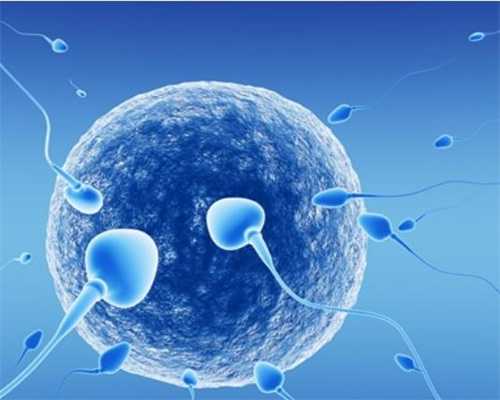 嘉颐好孕捐卵:生育过程让我们了解更多的科学知
