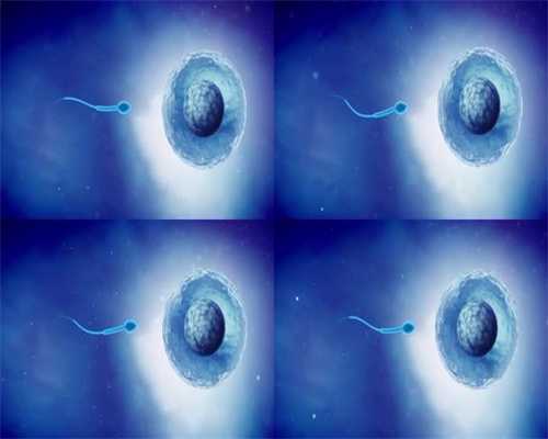 捐卵產生腹水，精子和卵子为什么会互相排斥？
