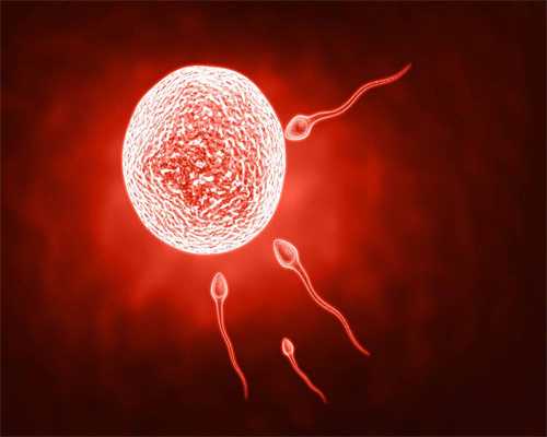自助黑市捐卵，多囊卵巢会引起不孕吗