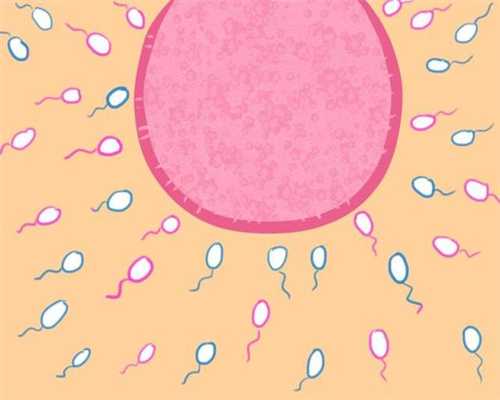 贵州捐卵网，女性捐卵真有那么复杂吗？具体捐卵流程详细剖析