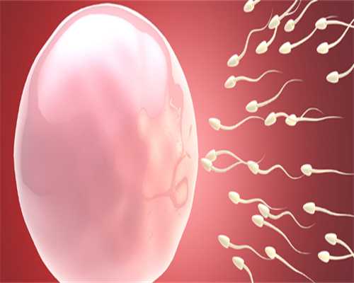 延吉义乌捐卵，卵泡监测代孕率高吗