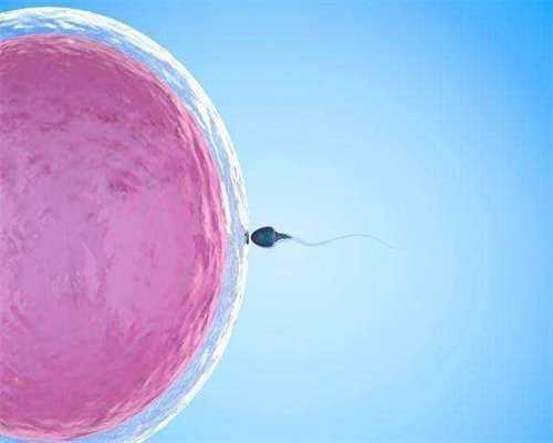 遂宁有偿捐卵~不止提升卵子质量!辅酶Q10对女性卵巢的作用并不少_1