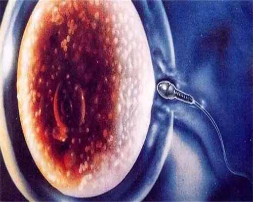 太原捐卵微信群_都不成功如果有卵巢早衰做试管可以怀孕卵巢早衰杭州试管卵