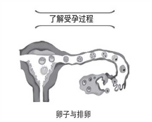 崇州捐卵吧~染色体平衡易位可做广州供卵试管试管婴儿