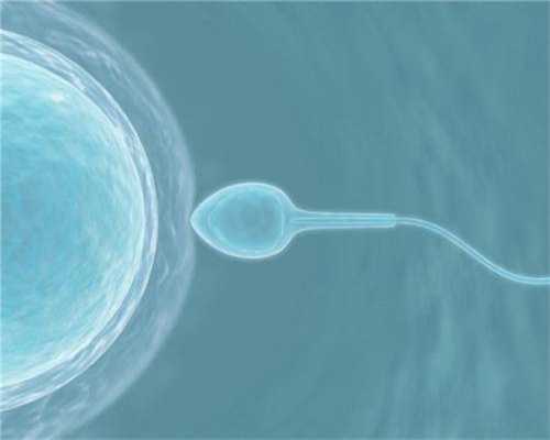 临沂大学捐卵~取卵术前后要注意什么？