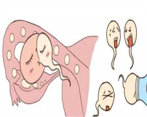 德州代孕捐卵,性六项激素在卵巢周期中的分泌规律，你知道吗？_1
