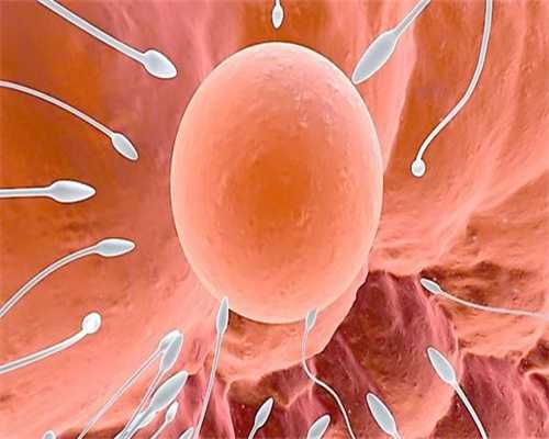德州代孕捐卵,性六项激素在卵巢周期中的分泌规律，你知道吗？_1