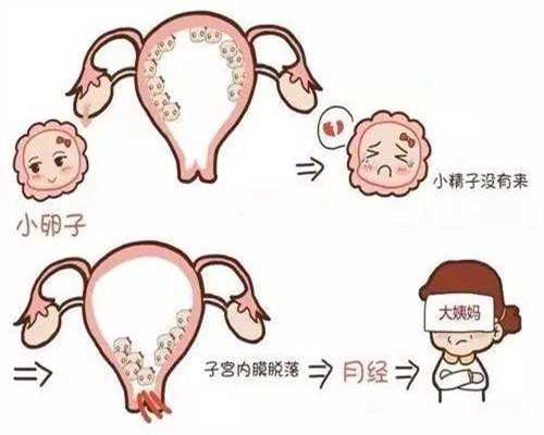 陕西捐卵哪里好-2019试管婴儿知识索引：囊肿，那是卵巢不是卵泡