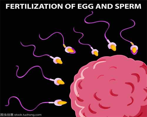 株洲中国可以捐卵，[供卵]第三方供卵试管应该注意什么[供卵]第三方供卵试管