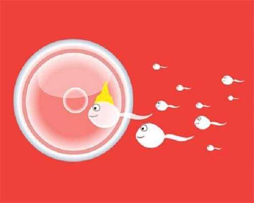 清远捐卵吧-年龄大了出现卵巢早衰还能做试管吗？