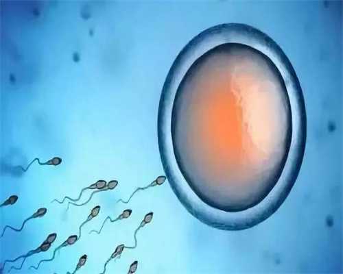 威海捐卵高价-管婴儿如何调理试管移植后胚胎是如何着床的卵巢早衰基础卵泡