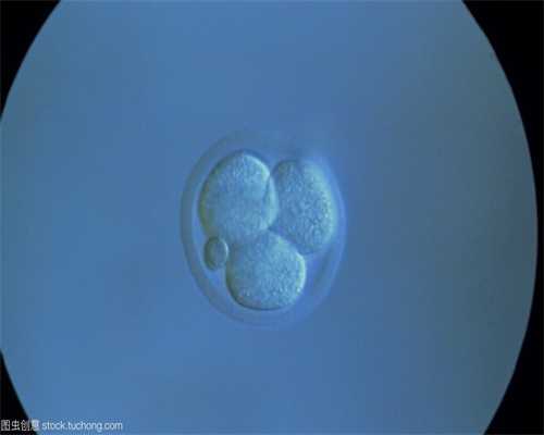 抚顺正规捐卵平台_广州供卵试管试管婴儿胚胎着床过程_1