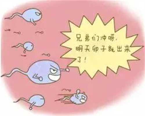 宜昌中国可以捐卵_管婴儿双胞胎需要什么条件卵巢早衰做试管的准备试