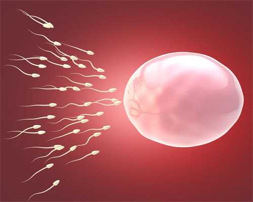焦作捐卵怎么弄,2019试管婴儿知识索引：精子和卵子结合需要多长时间